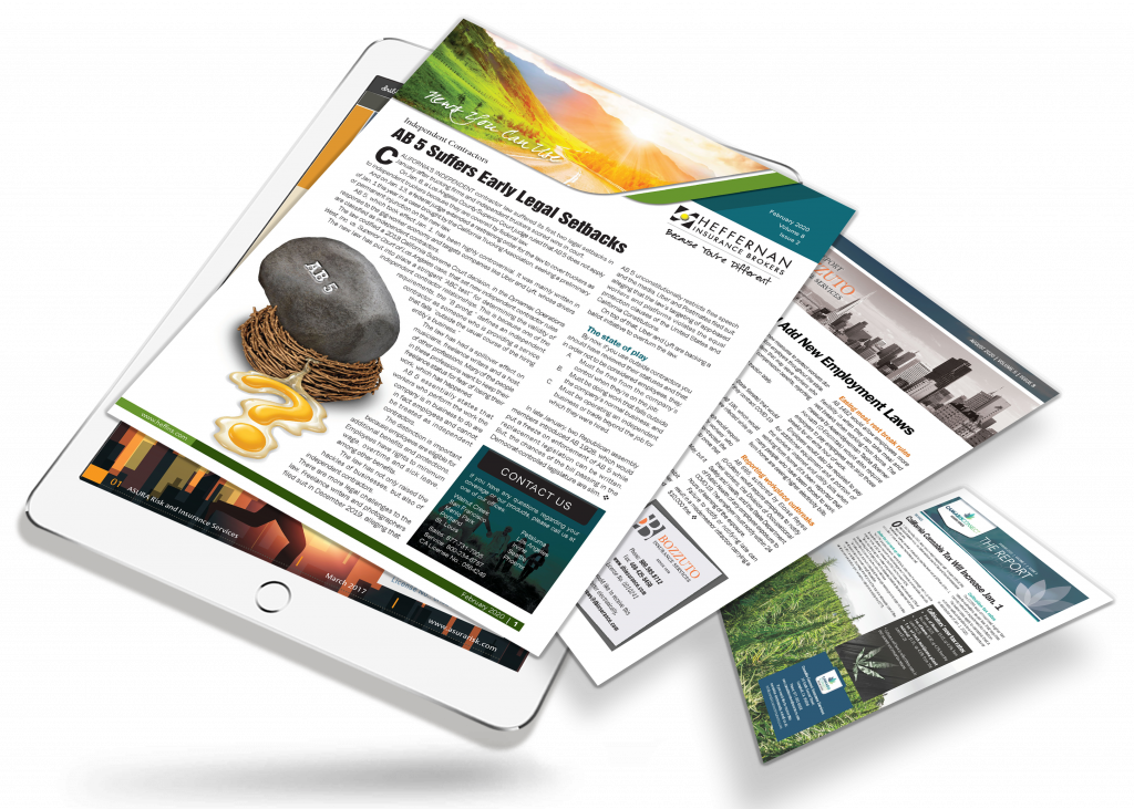 Insurance Newsletters templates